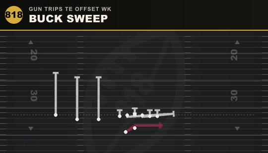 BUCK SWEEP from Gun Trips TE Offset Wk