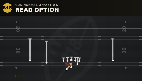 READ OPTION from Gun Normal Offset Wk
