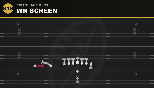 WR SCREEN from Pistol Ace Slot