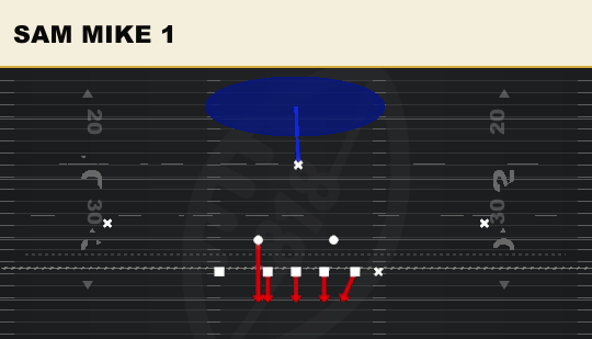 SAM MIKE 1 from 3-4 Bear