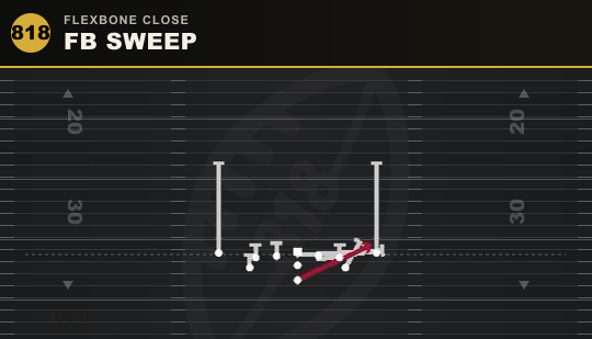 FB SWEEP from Flexbone Close