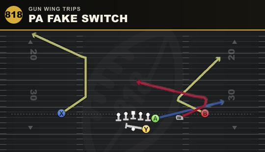 PA FAKE SWITCH from Gun Wing Trips