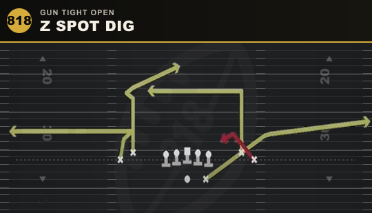 Z SPOT DIG from Gun Tight Open