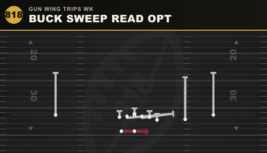 BUCK SWEEP READ OPT from Gun Wing Trips Wk