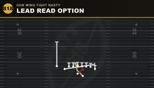 LEAD READ OPTION from Gun Wing Tight Nasty