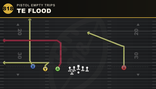 TE FLOOD from Pistol Empty Trips