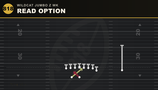 READ OPTION from Wildcat Jumbo Z Wk