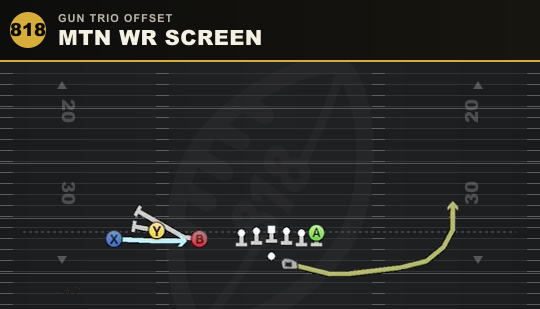 MTN WR SCREEN from Gun Trio Offset