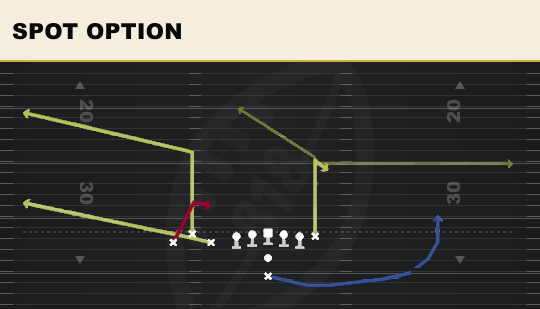 SPOT OPTION from Bunch TE
