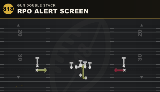 RPO ALERT SCREEN from Gun Double Stack