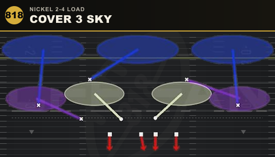 COVER 3 SKY from Nickel 2-4 Load