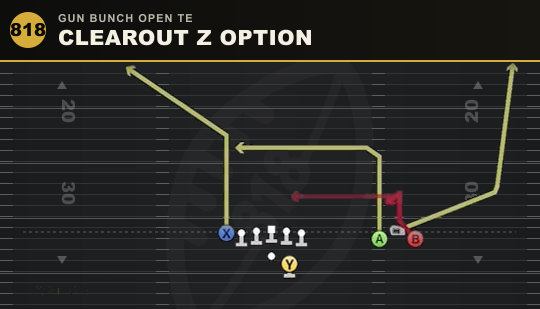 CLEAROUT Z OPTION from Gun Bunch Open TE