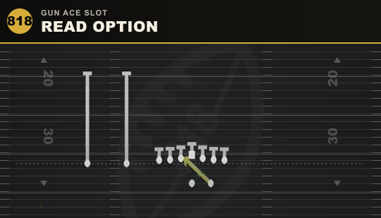 READ OPTION from Gun Ace Slot