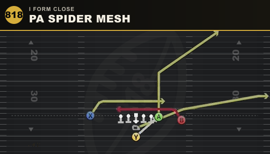 PA SPIDER MESH from I Form Close