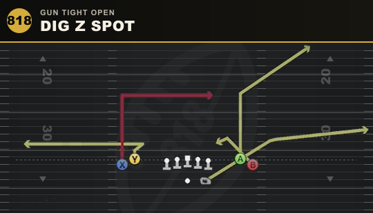 DIG Z SPOT from Gun Tight Open