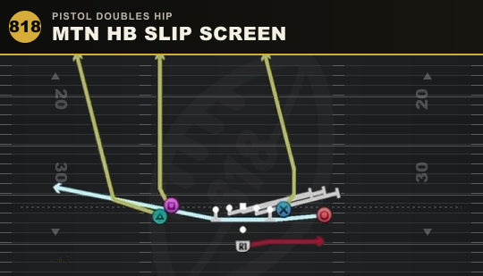 MTN HB SLIP SCREEN from Pistol Doubles Hip