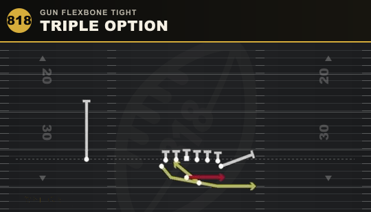 TRIPLE OPTION from Gun Flexbone Tight
