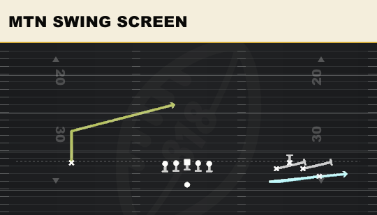 MTN SWING SCREEN from Bunch Quads Open