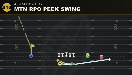 MTN RPO PEEK SWING from Gun Split Y-Flex