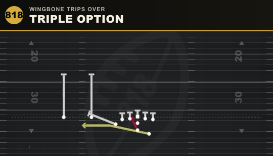 TRIPLE OPTION from Wingbone Trips Over