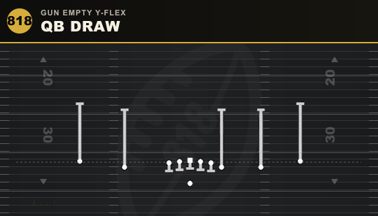 QB DRAW from Gun Empty Y-Flex