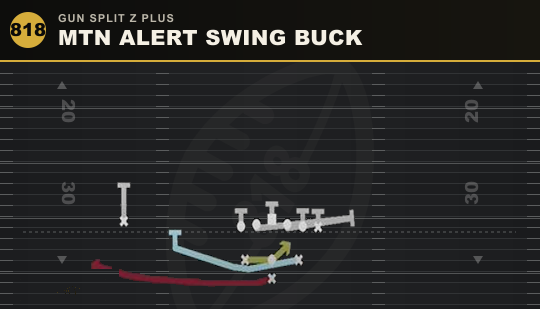 MTN ALERT SWING BUCK from Gun Split Z Plus