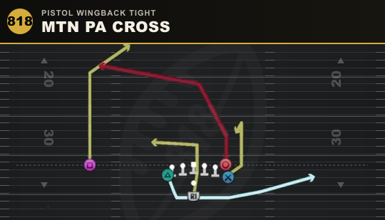 MTN PA CROSS from Pistol Wingback Tight