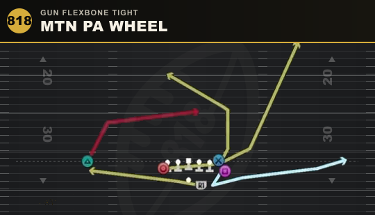 MTN PA WHEEL from Gun Flexbone Tight