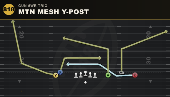 MTN MESH Y-POST from Gun 5WR Trio