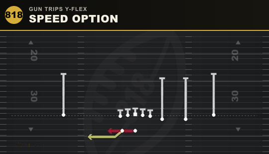 SPEED OPTION from Gun Trips Y-Flex