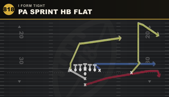 PA SPRINT HB FLAT from I Form Tight
