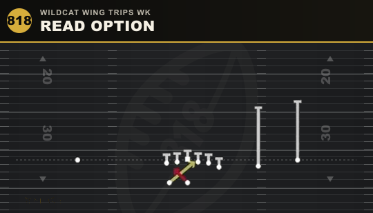 READ OPTION from Wildcat Wing Trips Wk