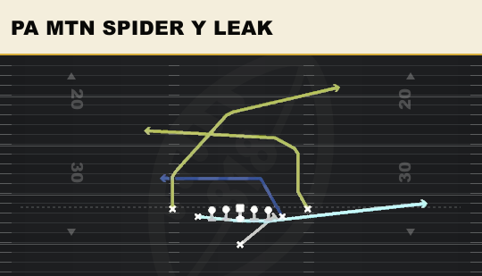 PA MTN SPIDER Y LEAK from Deuce Close