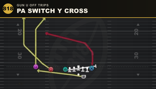 PA SWITCH Y CROSS from Gun U Off Trips