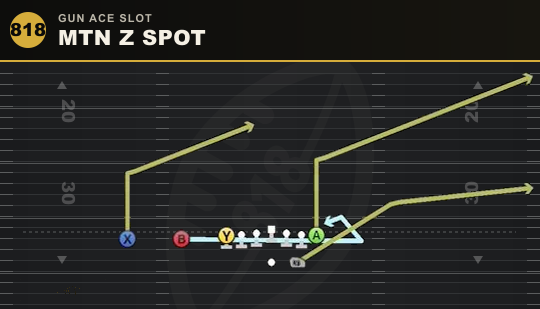 MTN Z SPOT from Gun Ace Slot