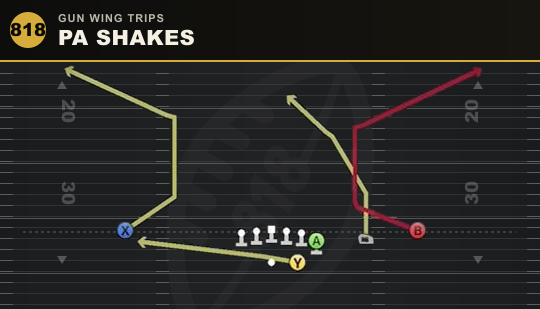 PA SHAKES from Gun Wing Trips