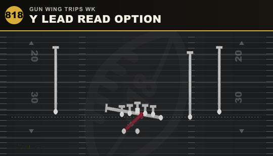 Y LEAD READ OPTION from Gun Wing Trips Wk