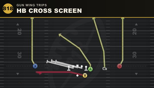 HB CROSS SCREEN from Gun Wing Trips