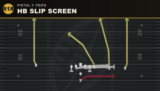 HB SLIP SCREEN from Pistol Y Trips