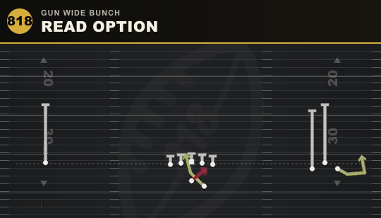 READ OPTION from Gun Wide Bunch