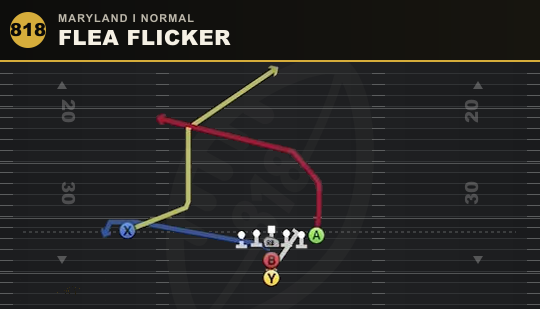 FLEA FLICKER from Maryland I Normal