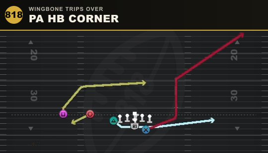 PA HB CORNER from Wingbone Trips Over
