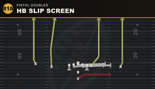HB SLIP SCREEN from Pistol Doubles