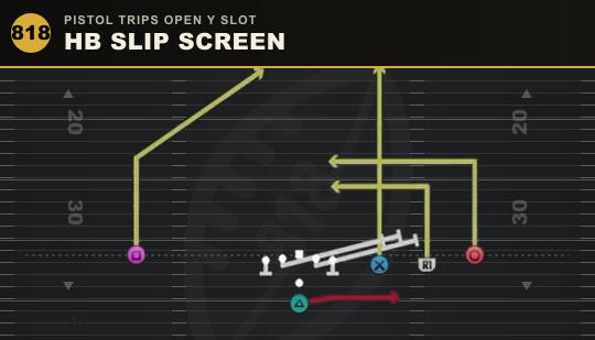 HB SLIP SCREEN from Pistol Trips Open Y Slot