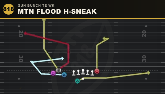 MTN FLOOD H-SNEAK from Gun Bunch TE Wk