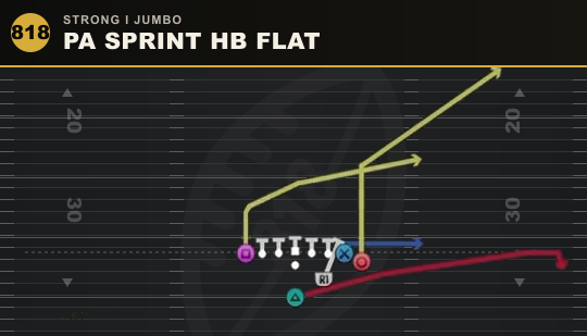 PA SPRINT HB FLAT from Strong I Jumbo
