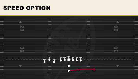 SPEED OPTION from Bunch TE