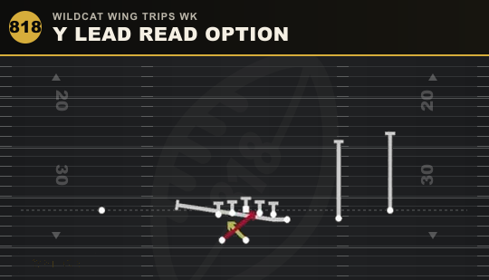 Y LEAD READ OPTION from Wildcat Wing Trips Wk