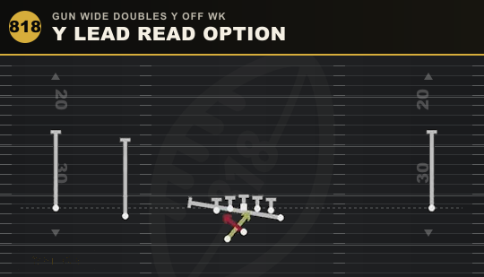 Y LEAD READ OPTION from Gun Wide Doubles Y Off Wk