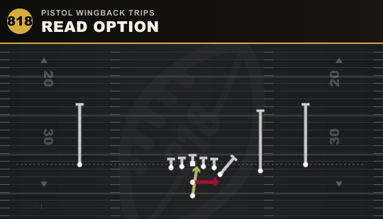 READ OPTION from Pistol Wingback Trips